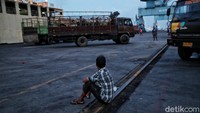 Pada 2015, Australia mengimpor sebanyak 39,5 ribu ton daging ke Indonesia. Memasuki 2016, jumlahnya berlipat ganda menjadi 79,6 ribu ton. Lalu meningkat lagi menjadi 85,1 ribu ton pada 2017. Naik lagi di 2018 menjadi 100,6 ribu ton dan menjadi 122,6 ribu ton di 2019. 