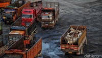 Berdasarkan data kementrian Pertanian, untuk mencukupi kebutuhan dalam negeri hingga kini Indonesia masih impor 112.503 ton atau 502.000 ribu per tahun. 