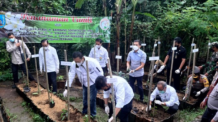 Mentan Syahrul Yasin Limpo dan rombongan menanam vanili di sentra petani vanili Salatiga, Sidomukti, Rabu (31/3/2021)