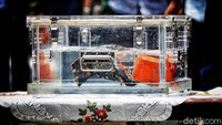 Seperti diketahui, CVR black box pesawat Sriwijaya SJ182 sebelumnya masih dalam pencarian. CVR ini terpecah menjadi beberapa bagian saat pesawat jatuh.   