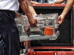 KNKT: Percakapan di Kokpit Sriwijaya Air SJ182 yang Jatuh Terdengar Jelas