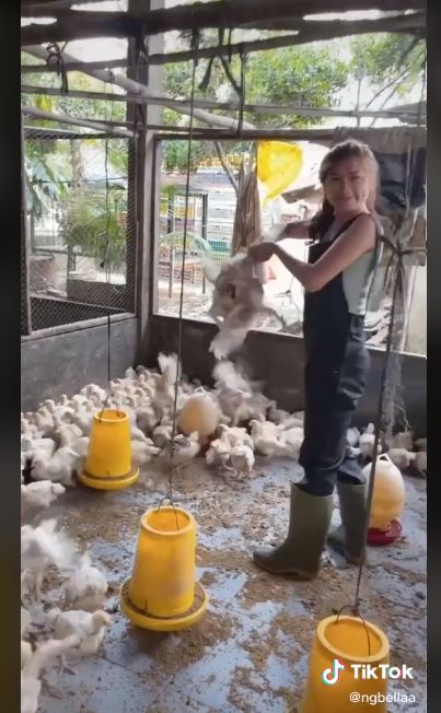 Sosok Peternak Ayam Cantik Ini Mirip Kisah di FTV
