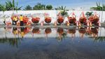 Doakan Leluhur Warga Pemekasan Lakukan Ritual Bakar Kapal