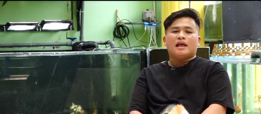 Sultan! Ikan Mas Koki Asal Vietnam Harganya Rp 19 Juta Seekor