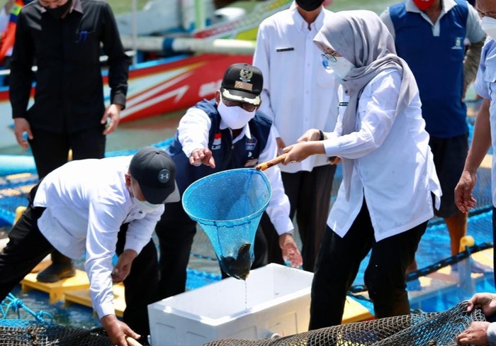 Bupati Ipuk Optimalkan Potensi Bahari Kawasan Grajagan