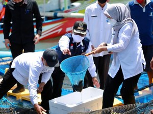 Ngantor di Desa Nelayan, Bupati Ipuk Optimalkan Potensi Bahari Grajagan