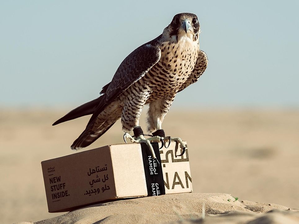 Express delivery pakai burung elangPlatform belanja online Namshi mengumumkan pada tahun 2019 bahwa mereka meluncurkan pengiriman Falcon Express, layanan baru yang didukung oleh elang. 