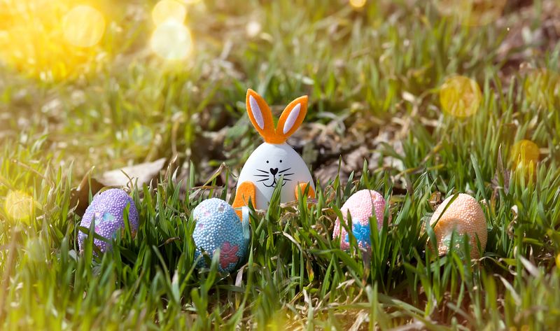 Easter bunny and decorated eggs in the green grass on a sunny bokeh background. Egg hunt. Easter card, banner, copy space
