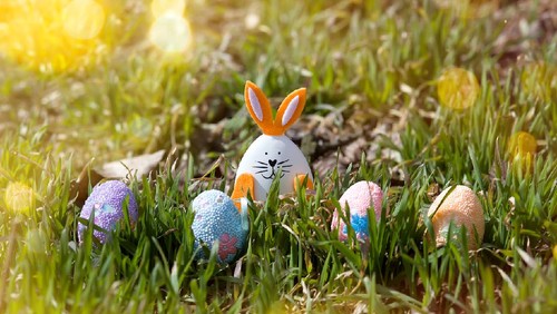 Easter bunny and decorated eggs in the green grass on a sunny bokeh background. Egg hunt. Easter card, banner, copy space