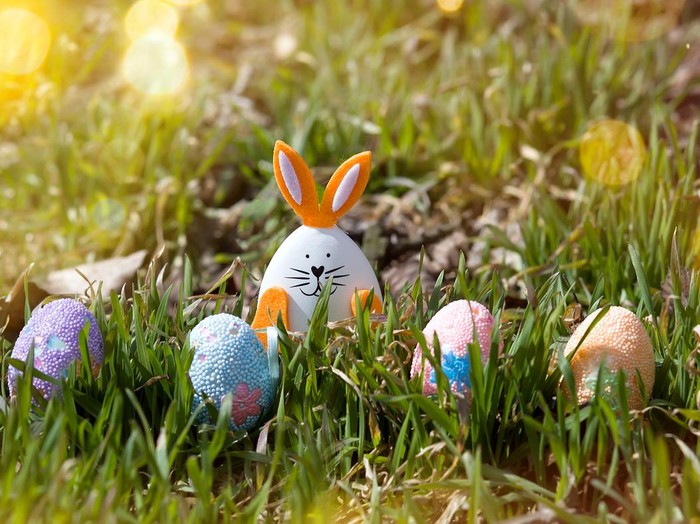 Easter bunny and decorated eggs in the green grass on a sunny bokeh background. Egg hunt. Easter card, banner, copy space