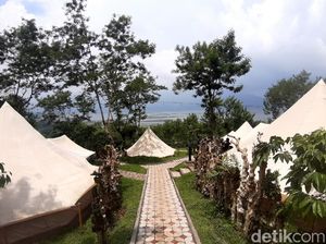 Kampoeng Kopi Banaran di Semarang Punya Coffee Camp, Apa Itu?