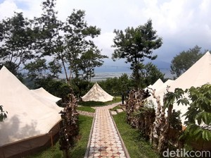 Kampoeng Kopi Banaran di Semarang Punya Coffee Camp, Apa Itu?