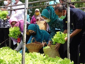 Kementan Nilai P2L Mampu Tingkatkan Kecukupan Pangan Masyarakat