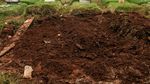 Penampakan Makam Zakiah Aini Penyerang Mabes Polri di TPU Pondok Ranggon