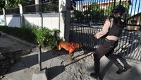 Polisi menyisir halaman gereja dengan menggunakan anjing pelacak saat pelaksanaan sterilisasi gereja di Palu, Sulawesi Tengah, Kamis (1/4/2021). Sterilisasi serta peningkatan pengamanan pada gereja tersebut dilakukan untuk memberikan rasa aman dan nyaman kepada umat dalam rangkaian ibadah perayaan Paskah di Kota Palu. ANTARA FOTO/Mohamad Hamzah  