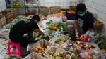 Menengok Pusat Rehabilitasi Satwa di Tengah Pandemi