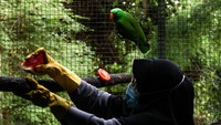 Untuk mengurangi biaya operasional mereka juga mengganti peralatan sekali pakai menjadi peralatan guna ulang.   