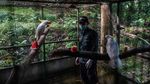 Menengok Pusat Rehabilitasi Satwa di Tengah Pandemi