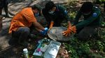 Menengok Pusat Rehabilitasi Satwa di Tengah Pandemi