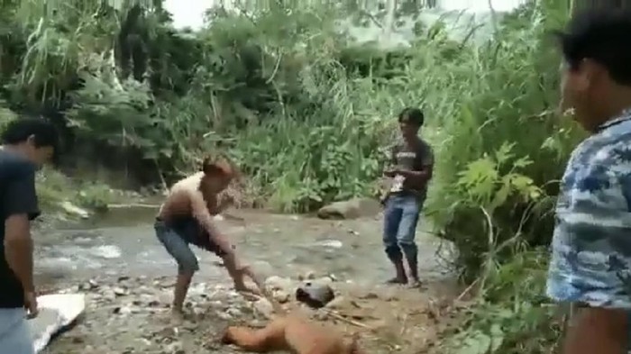 Video viral 4 pria siksa simpai di Sumatera Barat (dok. Istimewa)