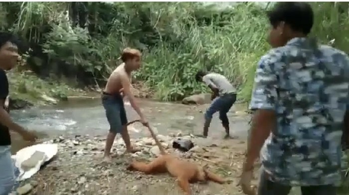 Video viral 4 pria siksa simpai di Sumatera Barat (dok. Istimewa)