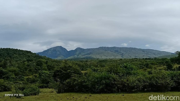 Gunung Tambora
