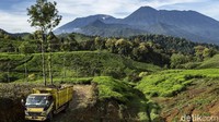 Sekolah dasar yang berada di kampung Cikoneng ini menjadi titik temu tiga kampung yaitu Cibulao, Rawa Gede, dan Cikoneng.  