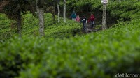 Beda halnya dengan anak-anak dari kampung Rawa Gede, mereka harus berjalan kaki selama satu jam menuju sekolah.  