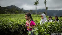 Meski begitu anak-anak tak pernah mengeluh untuk mencapai sekolah dan mengenyam pendidikan.  