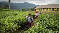 Diketahui sekolah ini sempat menerapkan pembelajaran melalui online, namun tak berjalan efektif imbas pekerjaan kedua orang tua di kawasan tersebut merupakan petani teh sehingga anak tak dapat pengawasan saat belajar.  