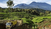 Truk menjadi andalan transportasi di lokasi ini, akses jalan yang berbatu sedikit menyulitkan, biasanya warga harus hati-hati saat melintas