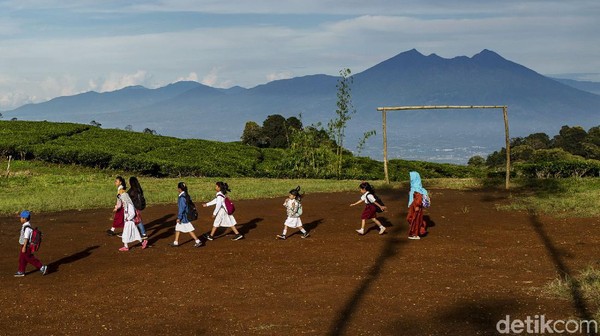 Sejumlah anak sekolah menyeberangi hamparan kebun teh untuk ke sekolah di desa Tugu Utara, Kab Bogor, Jawa Barat, Senin (29/3/2021). Sejumlah anak sekolah menyeberangi hamparan kebun teh untuk ke sekolah di desa Tugu Utara, Kab Bogor, Jawa Barat, Senin (29/3/2021).