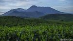 Terpesona Melihat Pemandangan di Kaki Gunung Kencana Bogor