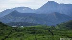 Terpesona Melihat Pemandangan di Kaki Gunung Kencana Bogor