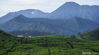 Gugusan panorama Gunung Gede Pangrango tersaji indah ditambah dengan udara yang sejek manambah berlama-lama. Berada tepat di kaki Gunung Kencana, pemandangan di lokasi ini dapat melihat Gunung Gede Pangrango.