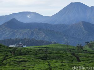 7 Fakta Peziarah Tersesat di Pangrango Disebut Mau ke Tempat Keramat