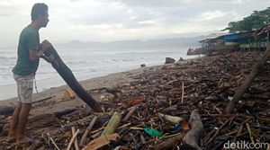 Sampah Kayu Menumpuk di Pesisir Palabuhanratu Sukabumi