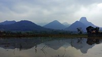 Pegunungan Sanggabuana adalah sebuah kawasan hutan lindung di Kabupaten Karawang, Purwakarta, Bogor dan Cianjur. Alih fungsi lahan hutan, pertambangan, juga perburuan liar mengancam kelestarian ekosistem di satu-satunya hutan di Kabupaten Karawang ini. Foto: (Bernard T/Istimewa) 