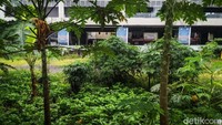 Rencananya pasar tersebut akan revitalisasi dengan konsep mix used development.