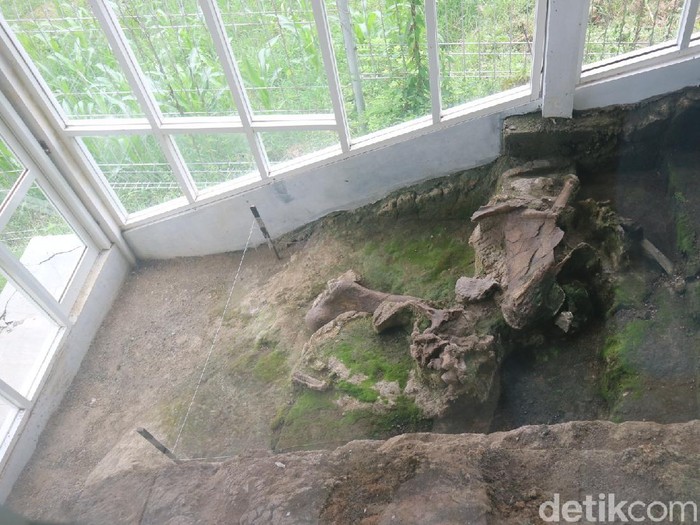 Gardu Atraksi Perlindungan Fosil yang berada di Bukit Patiayam Desa Terban Kecamatan Jekulo, Kudus, Jumat (2/4/2021).