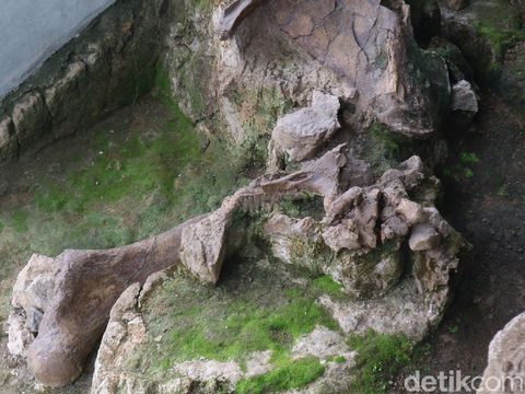 Gardu Atraksi Perlindungan Fosil yang berada di Bukit Patiayam Desa Terban Kecamatan Jekulo, Kudus, Jumat (2/4/2021).