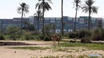 Melihat dari Dekat Kapal Raksasa yang Nyangkut di Terusan Suez