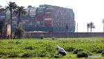 Melihat dari Dekat Kapal Raksasa yang Nyangkut di Terusan Suez