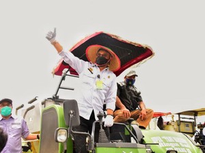 Panen Raya di Sumsel, Mentan Minta Bulog Serap Gabah Petani