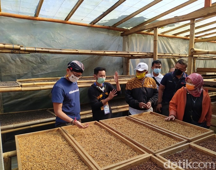 Menparekraf Sandiaga Uno saat melihat pengolahan kopi di Dusun Pengkol Desa Ngawongo, Kecamatan Kaliangkrik, Kabupaten Magelang.