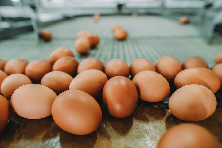 8 Mitos Telur Paling Populer, Kamu Masih Percaya?