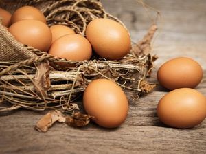 Tips Memilih Telur Ayam yang Baik Menurut Dinas Pertanian Kota Kediri