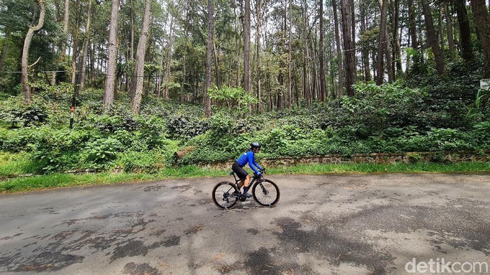 Pesepeda menikmati setiap kayuhan saat menanjak di tengah kesejukan Taman Wisata Alam (TWA) Tangkuban Parahu, Bandung Barat, akhir pekan kemarin. Gradient jalan yang mencapai 14 persen tidak menyurutkan putaran roda menuju puncaknya di Kawah Ratu. Simak perjuangan mereka.