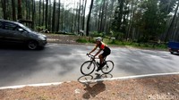 Mengayuh pedal di bawah bayangan pohon pinus di kawasan Tangkuban Parahu. Pesepeda hobi dan enthusiast menikmati setiap kayuhan dengan syahdu dan tidak terburu-buru.