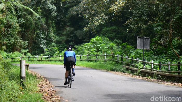Pesepeda menikmati setiap kayuhan saat menanjak di tengah kesejukan Taman Wisata Alam (TWA) Tangkuban Parahu, Bandung Barat, akhir pekan kemarin. Gradient jalan yang mencapai 14 persen tidak menyurutkan putaran roda menuju puncaknya di Kawah Ratu. Simak perjuangan mereka.